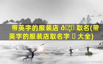 带英字的服装店 🦊 取名(带英字的服装店取名字 ☘ 大全)
